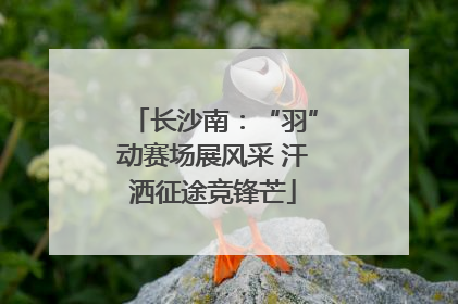 长沙南：“羽”动赛场展风采 汗洒征途竞锋芒