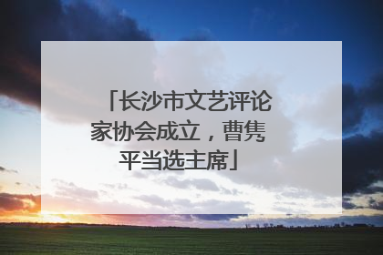 长沙市文艺评论家协会成立，曹隽平当选主席