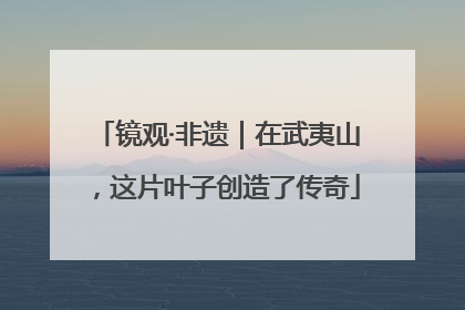镜观·非遗｜在武夷山，这片叶子创造了传奇