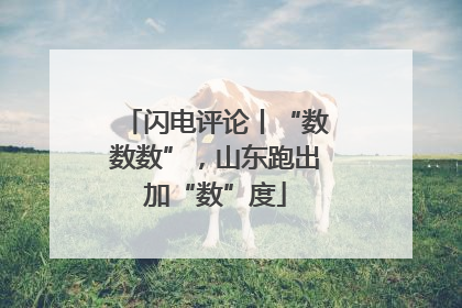 闪电评论丨“数数数”，山东跑出加“数”度