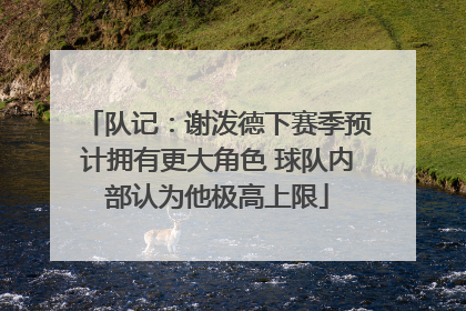 队记：谢泼德下赛季预计拥有更大角色 球队内部认为他极高上限