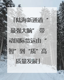 陆海新通道“最强大脑” 带动国际货运由“智”到“质”高质量发展