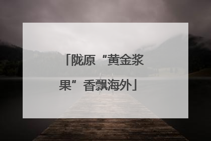 陇原“黄金浆果”香飘海外