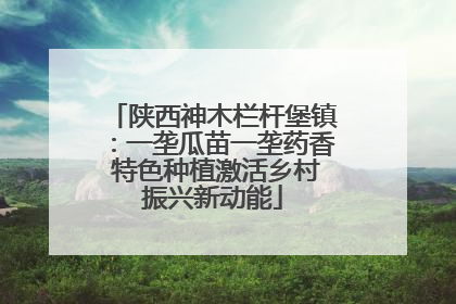 陕西神木栏杆堡镇：一垄瓜苗一垄药香 特色种植激活乡村振兴新动能