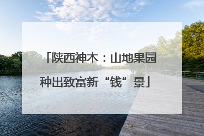 陕西神木：山地果园种出致富新“钱”景