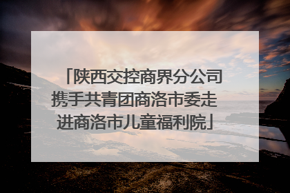 陕西交控商界分公司携手共青团商洛市委走进商洛市儿童福利院