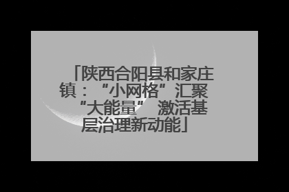 陕西合阳县和家庄镇：“小网格”汇聚“大能量” 激活基层治理新动能