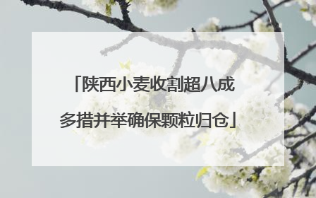 陕西小麦收割超八成 多措并举确保颗粒归仓