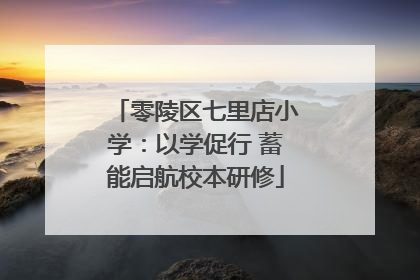 零陵区七里店小学：以学促行 蓄能启航校本研修