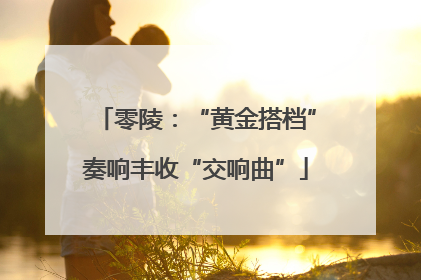 零陵：“黄金搭档”奏响丰收“交响曲”