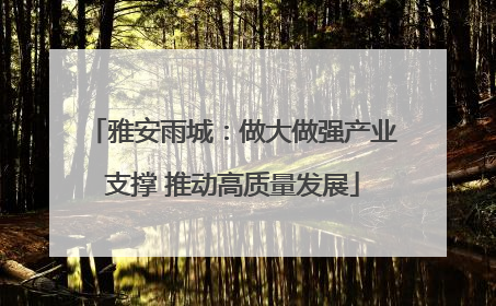雅安雨城：做大做强产业支撑 推动高质量发展