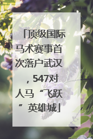 顶级国际马术赛事首次落户武汉，547对人马“飞跃”英雄城