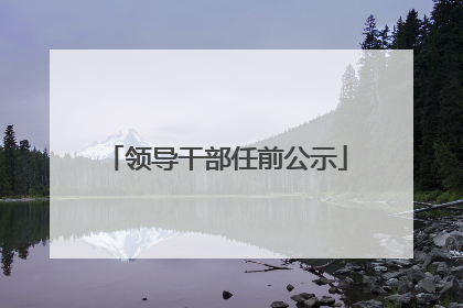 领导干部任前公示