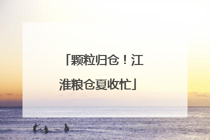 颗粒归仓！江淮粮仓夏收忙