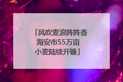 风吹麦浪阵阵香 海安市55万亩小麦陆续开镰
