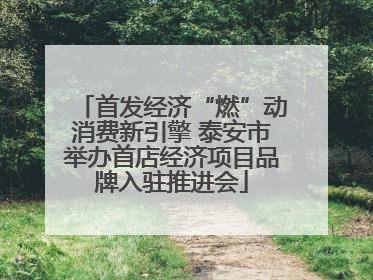 首发经济“燃”动消费新引擎 泰安市举办首店经济项目品牌入驻推进会