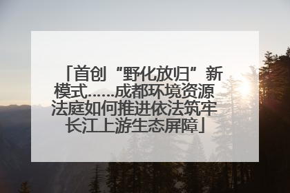 首创“野化放归”新模式……成都环境资源法庭如何推进依法筑牢长江上游生态屏障