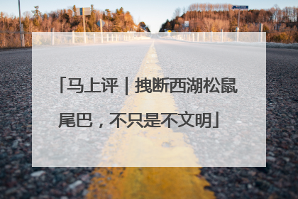 马上评｜拽断西湖松鼠尾巴，不只是不文明