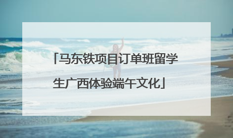 马东铁项目订单班留学生广西体验端午文化