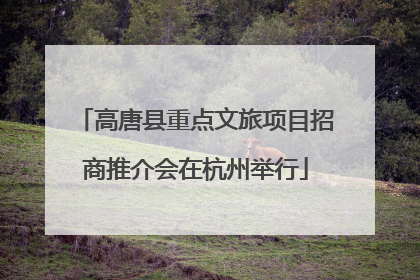 高唐县重点文旅项目招商推介会在杭州举行