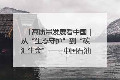 高质量发展看中国｜从“生态守护”到“碳汇生金”——中国石油大庆油田绿色蝶变