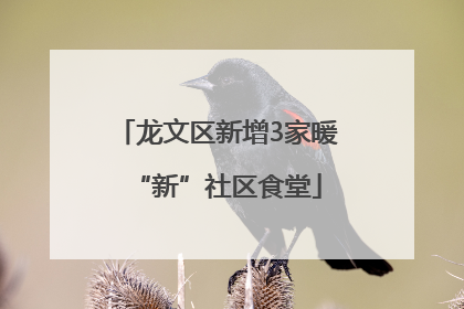 龙文区新增3家暖“新”社区食堂