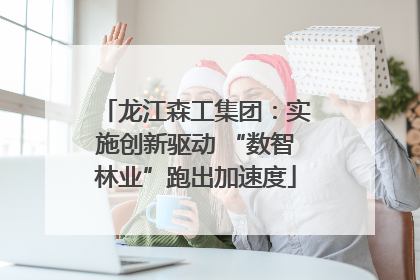龙江森工集团：实施创新驱动 “数智林业”跑出加速度