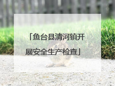 鱼台县清河镇开展安全生产检查