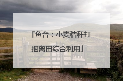 鱼台：小麦秸秆打捆离田综合利用