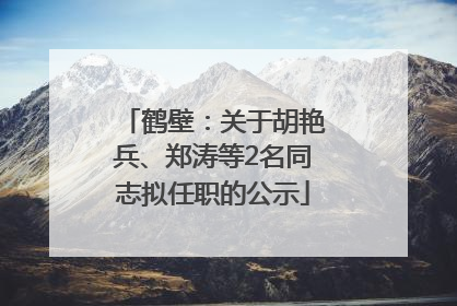 鹤壁：关于胡艳兵、郑涛等2名同志拟任职的公示