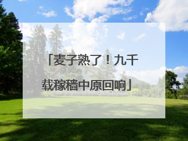 麦子熟了！九千载稼穑中原回响