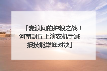 麦浪间的护粮之战！河南封丘上演农机手减损技能巅峰对决