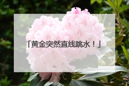 黄金突然直线跳水！
