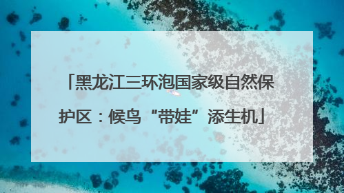 黑龙江三环泡国家级自然保护区：候鸟“带娃”添生机