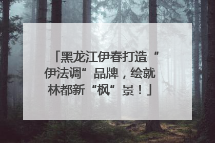 黑龙江伊春打造“伊法调”品牌，绘就林都新“枫”景！