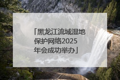 黑龙江流域湿地保护网络2025年会成功举办
