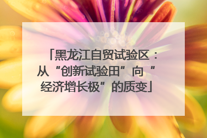 黑龙江自贸试验区：从“创新试验田”向“经济增长极”的质变