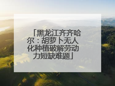 黑龙江齐齐哈尔：胡萝卜无人化种植破解劳动力短缺难题