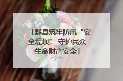 黟县筑牢防汛“安全堤坝” 守护民众生命财产安全