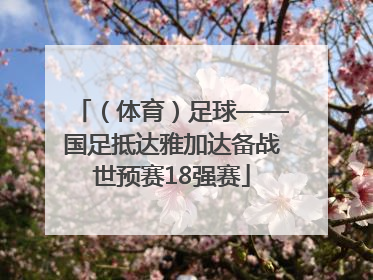 （体育）足球——国足抵达雅加达备战世预赛18强赛