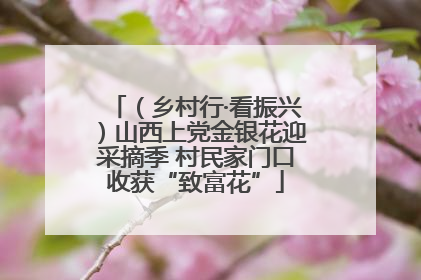 （乡村行·看振兴）山西上党金银花迎采摘季 村民家门口收获“致富花”