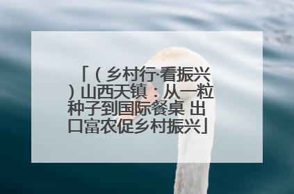 （乡村行·看振兴）山西天镇：从一粒种子到国际餐桌 出口富农促乡村振兴