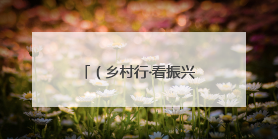 （乡村行·看振兴）科尔沁新农人：10亩大棚起家种出乡村振兴“甜蜜果”