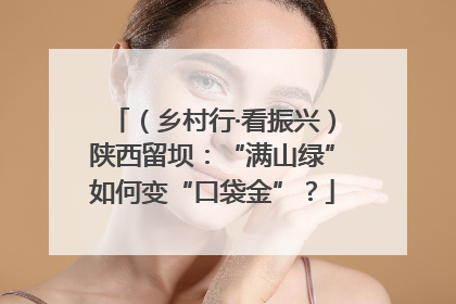 （乡村行·看振兴）陕西留坝：“满山绿”如何变“口袋金”？