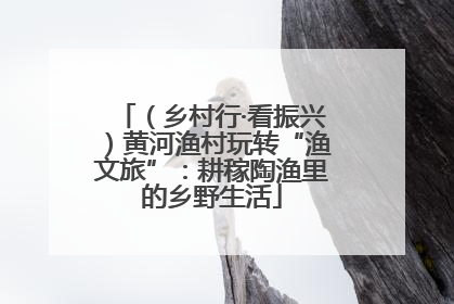 （乡村行·看振兴）黄河渔村玩转“渔文旅”：耕稼陶渔里的乡野生活