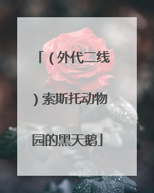 （外代二线）索斯托动物园的黑天鹅