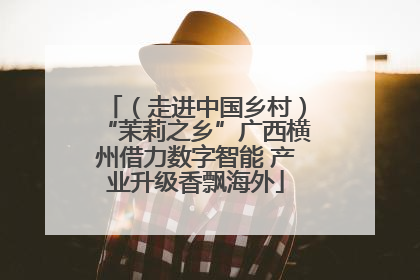 （走进中国乡村）“茉莉之乡”广西横州借力数字智能 产业升级香飘海外