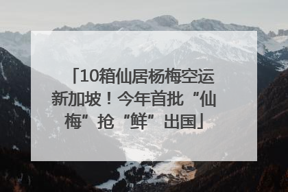 10箱仙居杨梅空运新加坡！今年首批“仙梅”抢“鲜”出国