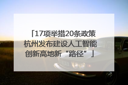 17项举措20条政策 杭州发布建设人工智能创新高地新“路径”