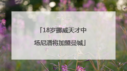 18岁挪威天才中场尼潘将加盟曼城